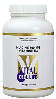 B3 Niacine 500 mg 