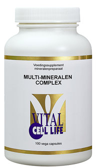 Multi-mineral complex with iron