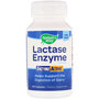 Lactase-Enzyme